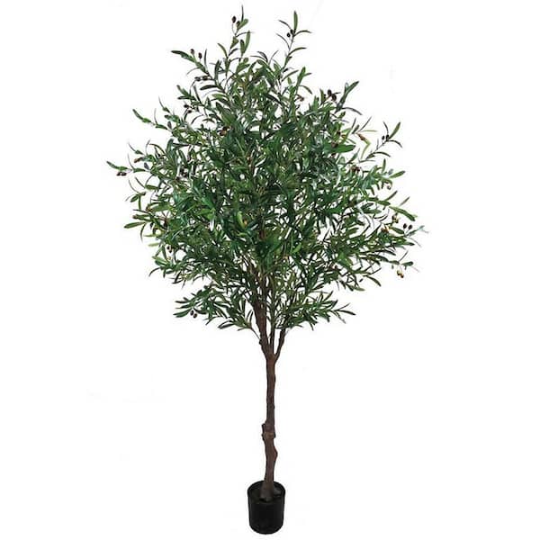  Maia Shop Olive, Artificial Tree with Natural Trunks, Made with  The Best Materials, Ideal for Home Decoration, Artificial Plant 5 feet Tall  - 60 inches : Home & Kitchen