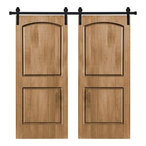 Modern 2Panel-Roman Designed 48 in. x 80 in. Wood Panel Brair Smoke Painted Double Sliding Barn Door with Hardware Kit