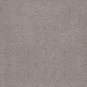 Sand Dunes I - Sable Gray 53 oz. Nylon Texture Installed Carpet