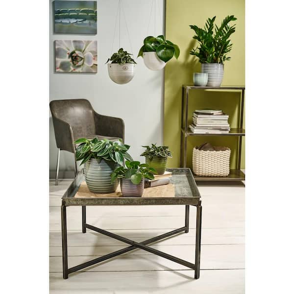 Noelle Small Green Textured Ceramic Planter (7.5 in. L x 7.5 in. W x 7.1 in. H)