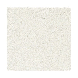 Hainsridge  - Delta - Beige 68 oz. Triexta Texture Installed Carpet