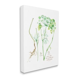 Dill Greens Herbs Watercolor Garden Plant by Verbrugge Watercolor Unframed Print Nature Wall Art 30 in. x 40 in.