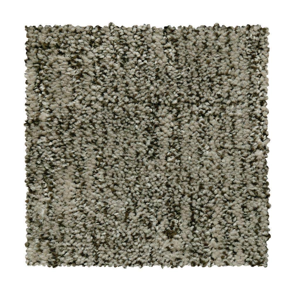 8 in. x 8 in. Pattern Carpet Sample - Corry Sound - Color Galaxy Shadow price history on PriceWatchPro