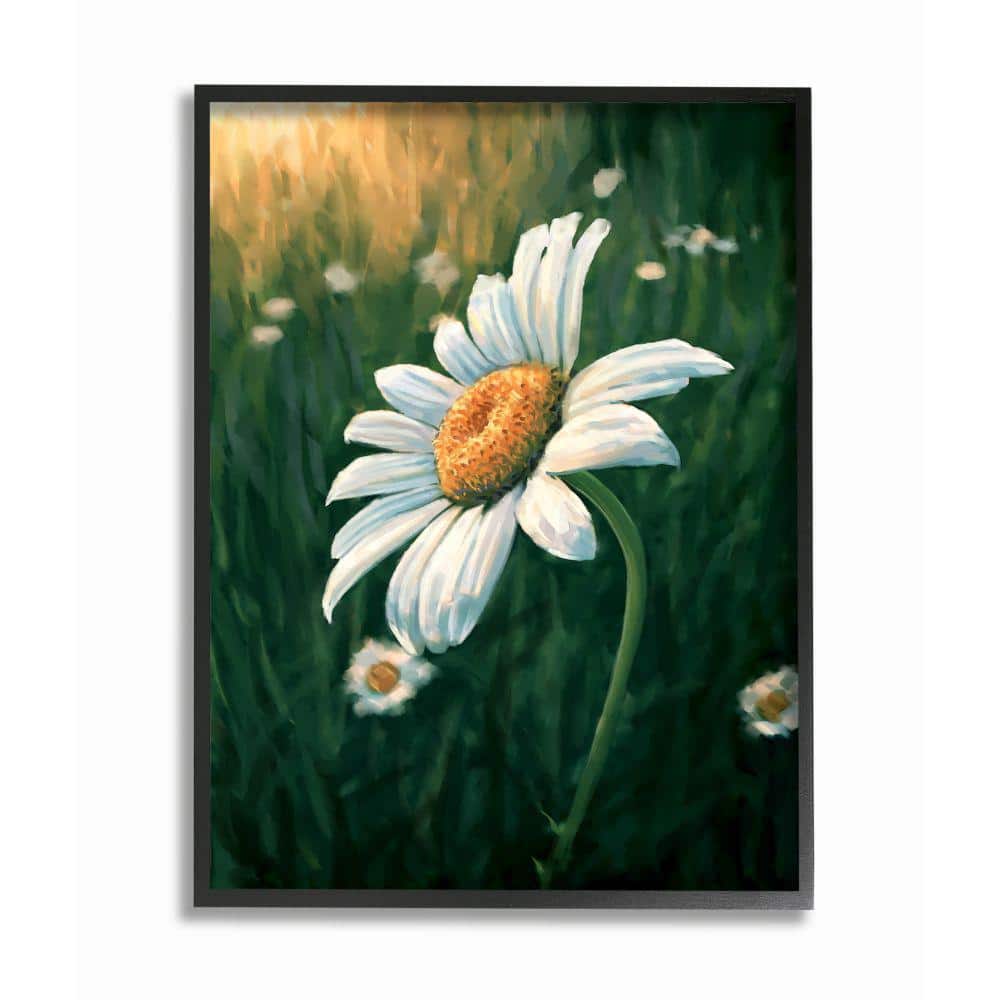 Stupell Industries Daisy Details in Field of Spring Flowers by Ziwei Li Framed Nature Wall Art Print 16 in. x 20 in., Green -  ab-917_fr_16x20