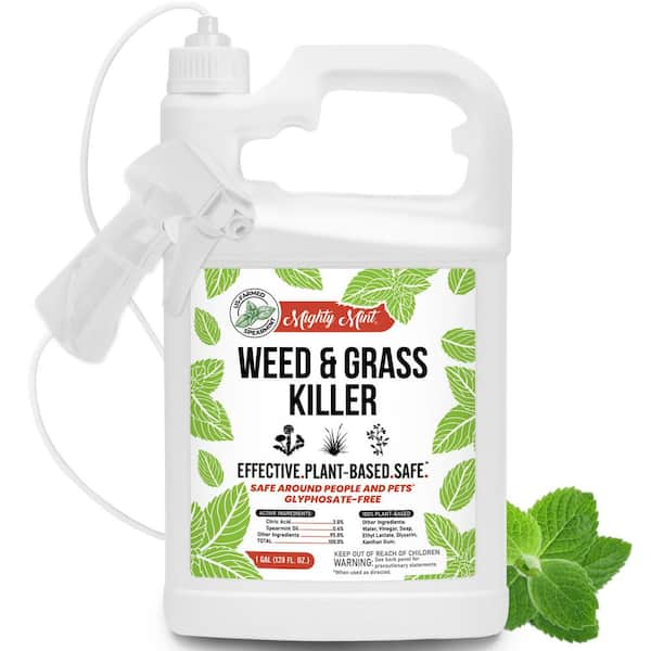 Mighty Mint 128 oz. Weed & Grass Killer - Ready to Spray Natural Weed Killer - For Organic Use