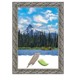 22 in. x 28 in. Silver Leaf Wood Picture Frame Opening Size