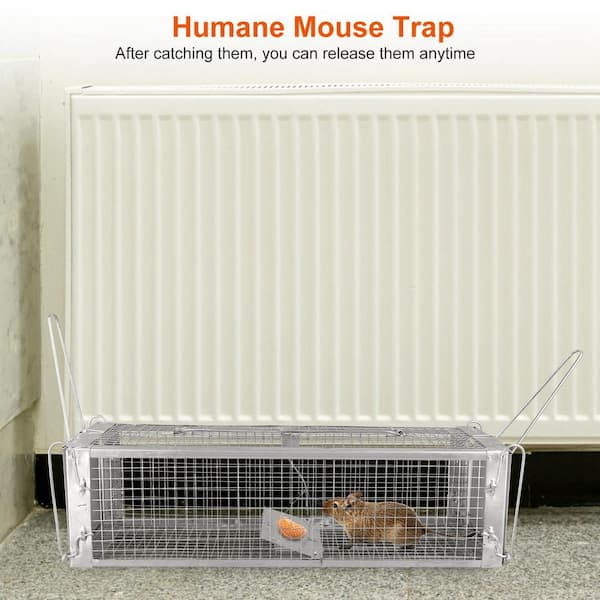 Cisvio Dual Door Rat Trap Cage Humane Live Rodent Dense Mesh Zinc  Electroplating Mice Control with 2 Detachable U Shaped Rod D0102H2BDMA -  The Home Depot
