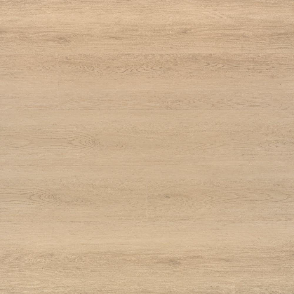 Take Home Sample - Sandy Palm 22 MIL x 9 in. W x 9 in. L Waterproof Click L