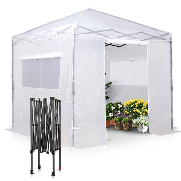 EAGLE PEAK 8 ft. W x 8 ft. D White Portable Walk-In Pop-Up Gardening Greenhouse Canopy
