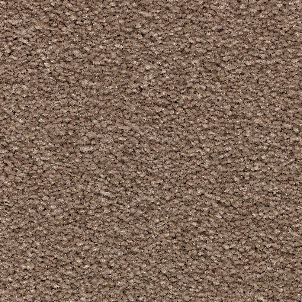 8 in. x 8 in. Texture Carpet Sample - Unblemished I -Color Durango price history on PriceWatchPro
