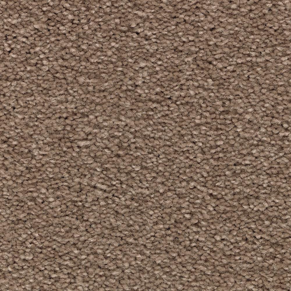 8 in. x 8 in. Texture Carpet Sample - Unblemished II -Color Durango price history on PriceWatchPro