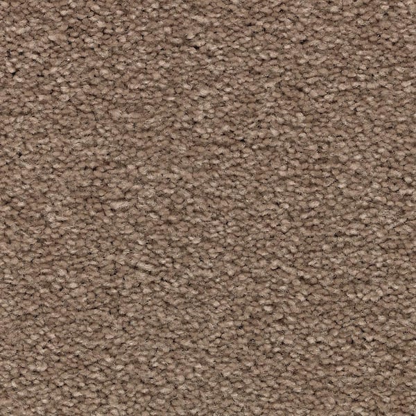 Unblemished I  - Durango - Brown 45 oz. Triexta Texture Installed Carpet