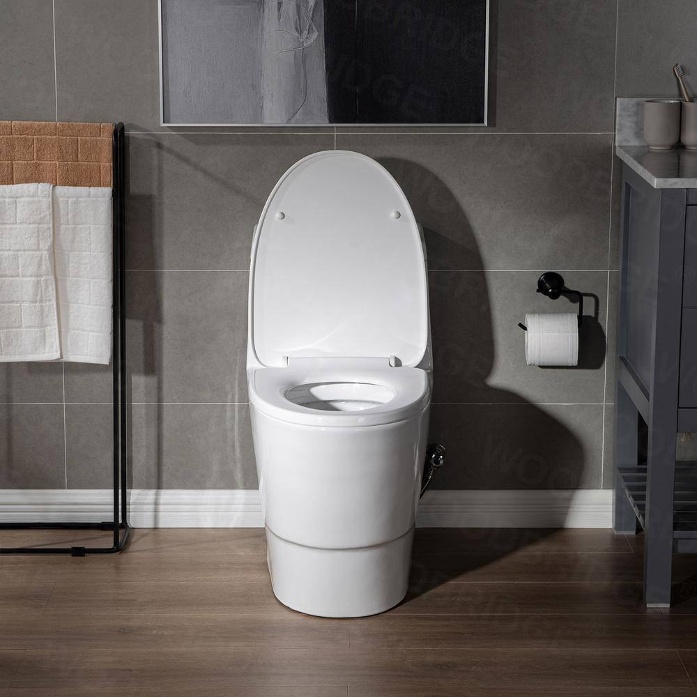 Elongated Wall Mounted Dual Flush High Efficiency Toilet