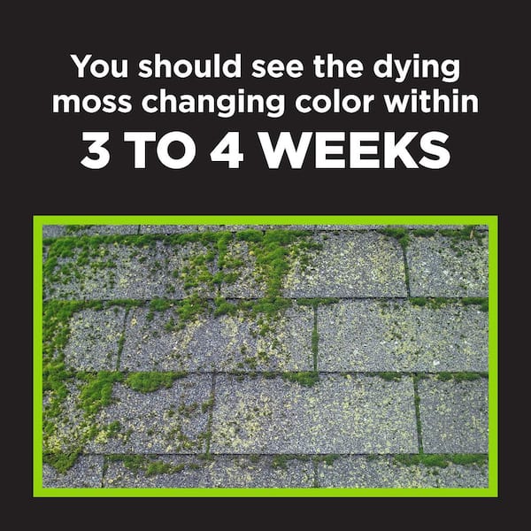 Corry's - 10 lbs. 10,000 sq. ft. Moss-B-Ware Moss Killer Granules for Roofs and Walks