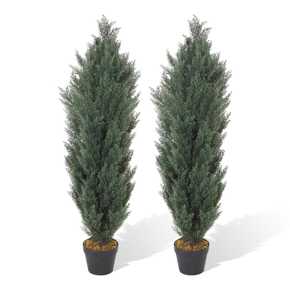 4ft Dark Green Cedar Topiary Trees in Black Cement Pots, Set of 2