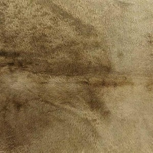 Josephine Taupe 5 ft. x 7 ft. Specialty Cowhide Area Rug