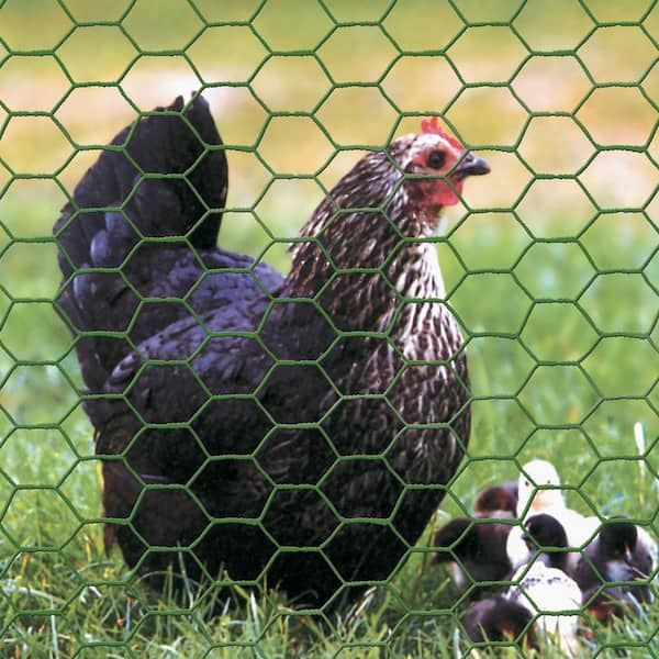 Chicken Wire Fencing Poultry Wire Mesh Fence Yard Garden Crafting Decor 