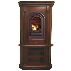 ProCom 26,000 BTU Vent Free Dual Fuel Propane and Natural Gas Indoor  Fireplace Insert with T-Stat Control 170082 - The Home Depot