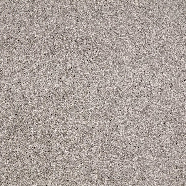 Lifeproof with Petproof Technology Silver Mane I - Pebblestone - Gray 50 oz. Triexta Texture Installed Carpet