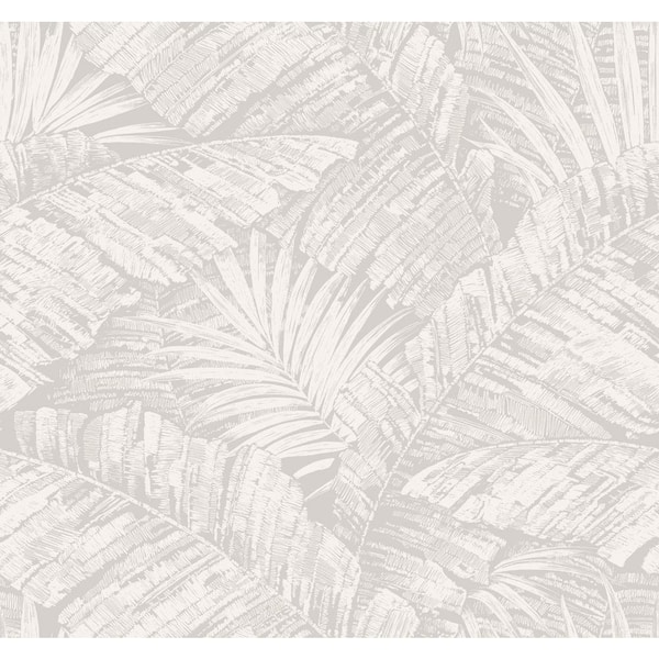 York Wallcoverings Palm Cove Toile White and Grey Wallpaper Roll