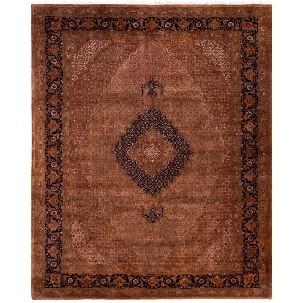 Fine Vibrance Brown 8 X 10 Hand-Knotted Wool Indoor Area Rug price history on PriceWatchPro