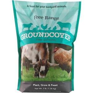 3 lbs. Free Range Groundcover Forage Seed Mixture