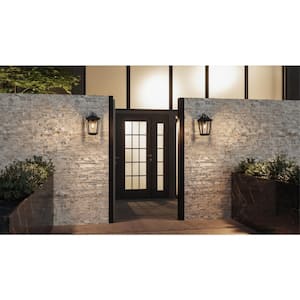 Darius 1-Light Black Outdoor Wall Lantern Sconce