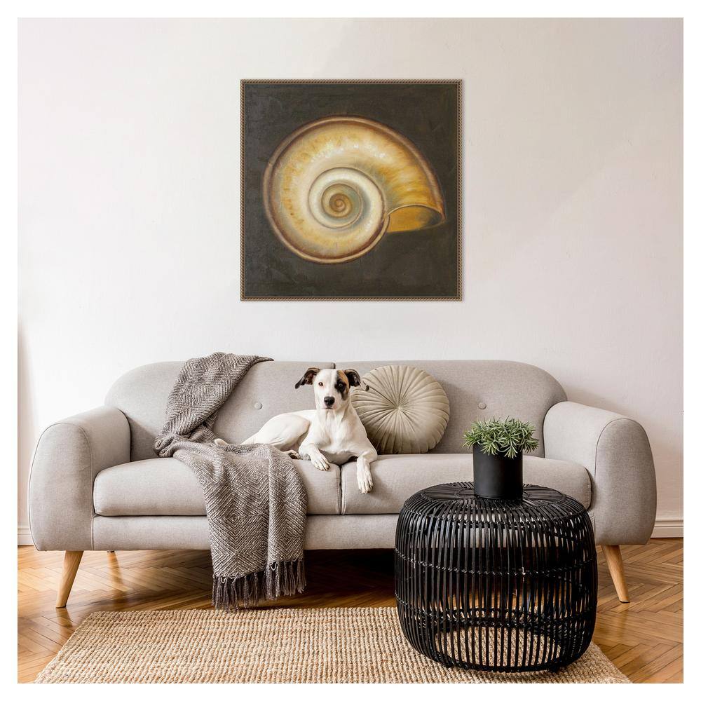 30"x30" Seashell I by Patricia Pinto Framed Canvas Wall Art Print Bronze - Amanti Art: Hand-Stretched, Madison WI, Nautical Decor