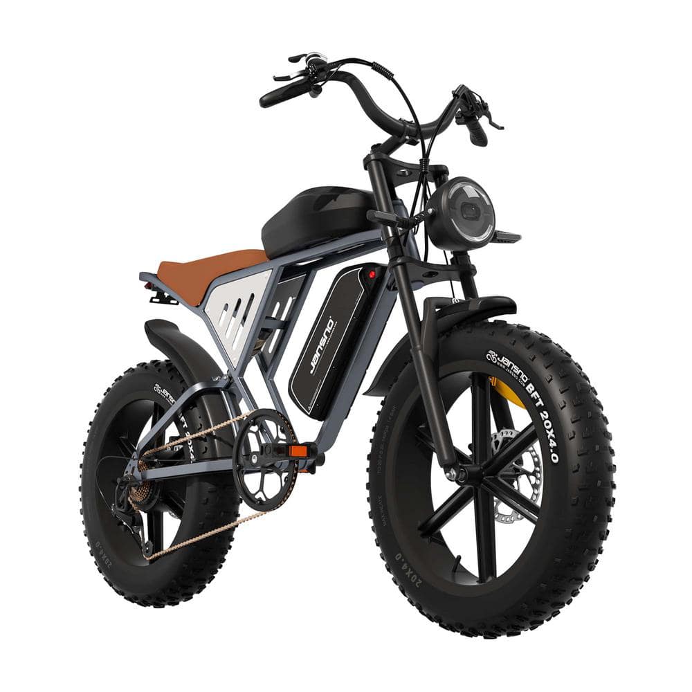 Zeus & Ruta 20 in. 750-Watt 48-Volt Shimano 7-Speed Grey