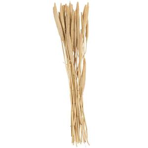 Litton Lane Pampas Natural Foliage with Long Stems (One Bundle) 043435 -  The Home Depot