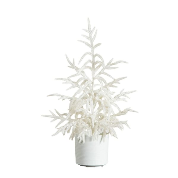2 ft. Artificial Real Touch White Norfolk Island Pine Christmas Tree with Natural Look