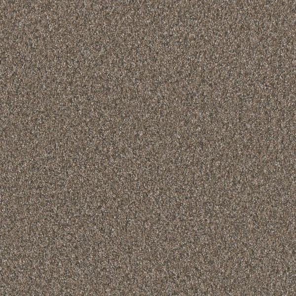 Manuscript I -Classics Brown -45 oz. SD Polyester Texture Carpet - Installation Required
