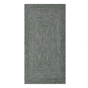 Braided Green/White 8 ft. x 10 ft. Solid Indoor/Outdoor Area Rug
