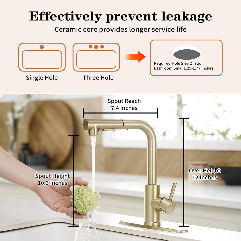Brushed Gold Stainless Steel Pull-Out Kitchen Faucet