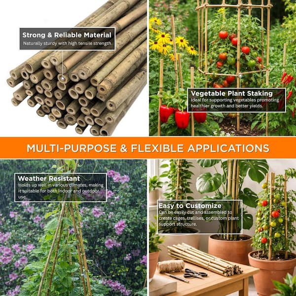 1/2 in. x 4 ft. Natural Bamboo Poles (25-Pack/Bundled)