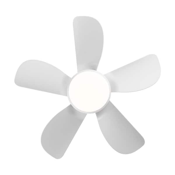 Tidoin 30 in. 5 Blades LED Indoor White Smart Ceiling Fan with