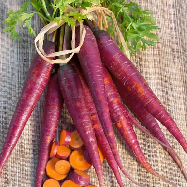 Gurney's 7.50 ft. L Carrot Cosmic Purple Seed Tape, Includes 2 Seed Tapes Each