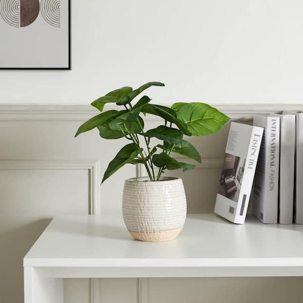 Unbranded Golden Pothos 12 in. Green Artificial Leaf Plant in Ceramic Pot