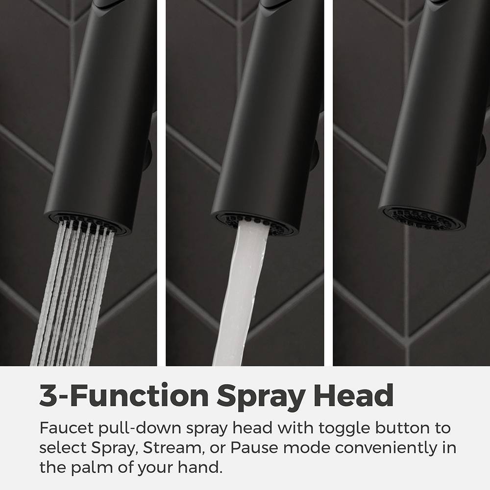 Ceylon Matte Black Pull-Down Kitchen Faucet with Soap Dispenser