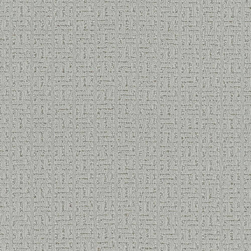 8 in. x 8 in. Loop Carpet Sample - Earthy Editions - Color Snow price history on PriceWatchPro