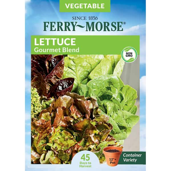 Ferry-Morse Lettuce Gourmet Blend Vegetable Seed 7407 - The Home Depot