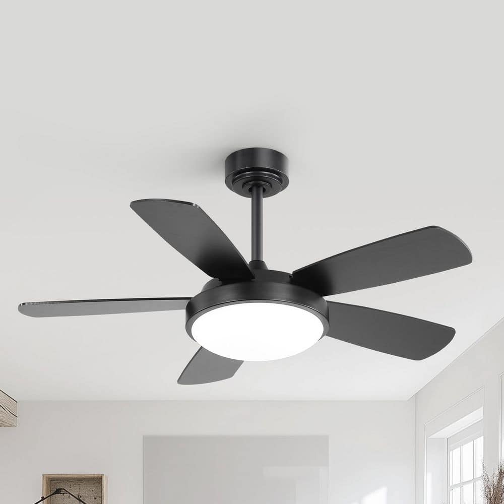 42 in. Indoor Modern 5-Blade Noiseless Black Downrod Ceiling Fan with Light Kit, 6-Speed DC Remote Control price history on PriceWatchPro