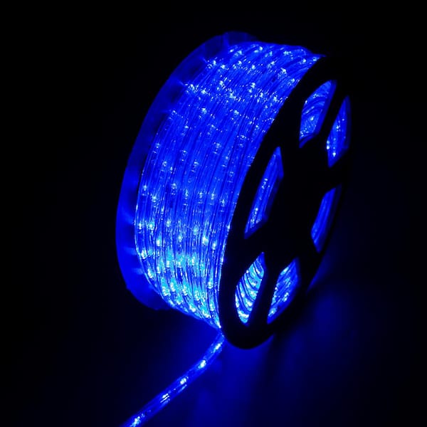 walsport Outdoor 100 ft. 110-Volt Plug-In Blue Color Changing