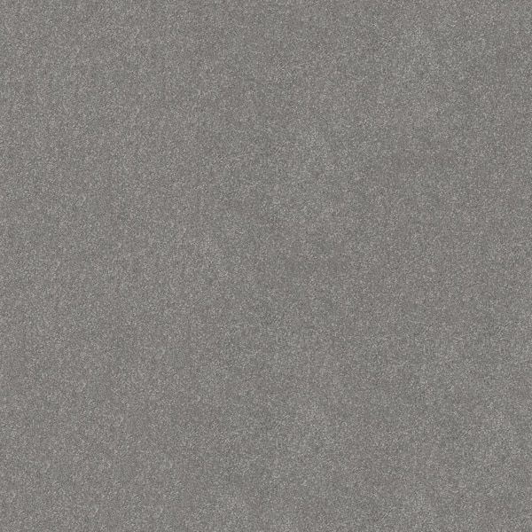 Lifeproof Blakely III - Tin-Gray 12 ft. 66 oz. High Performance Polyester Texture Installed Carpet