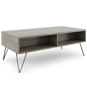 Hunter 48 in. Gray Rectangle Mango Wood Top Coffee Table with Storage