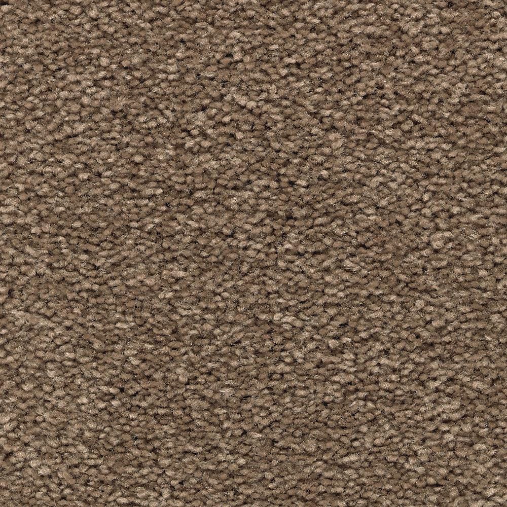 8 in. x 8 in. Texture Carpet Sample - Unblemished I -Color Antelope price history on PriceWatchPro