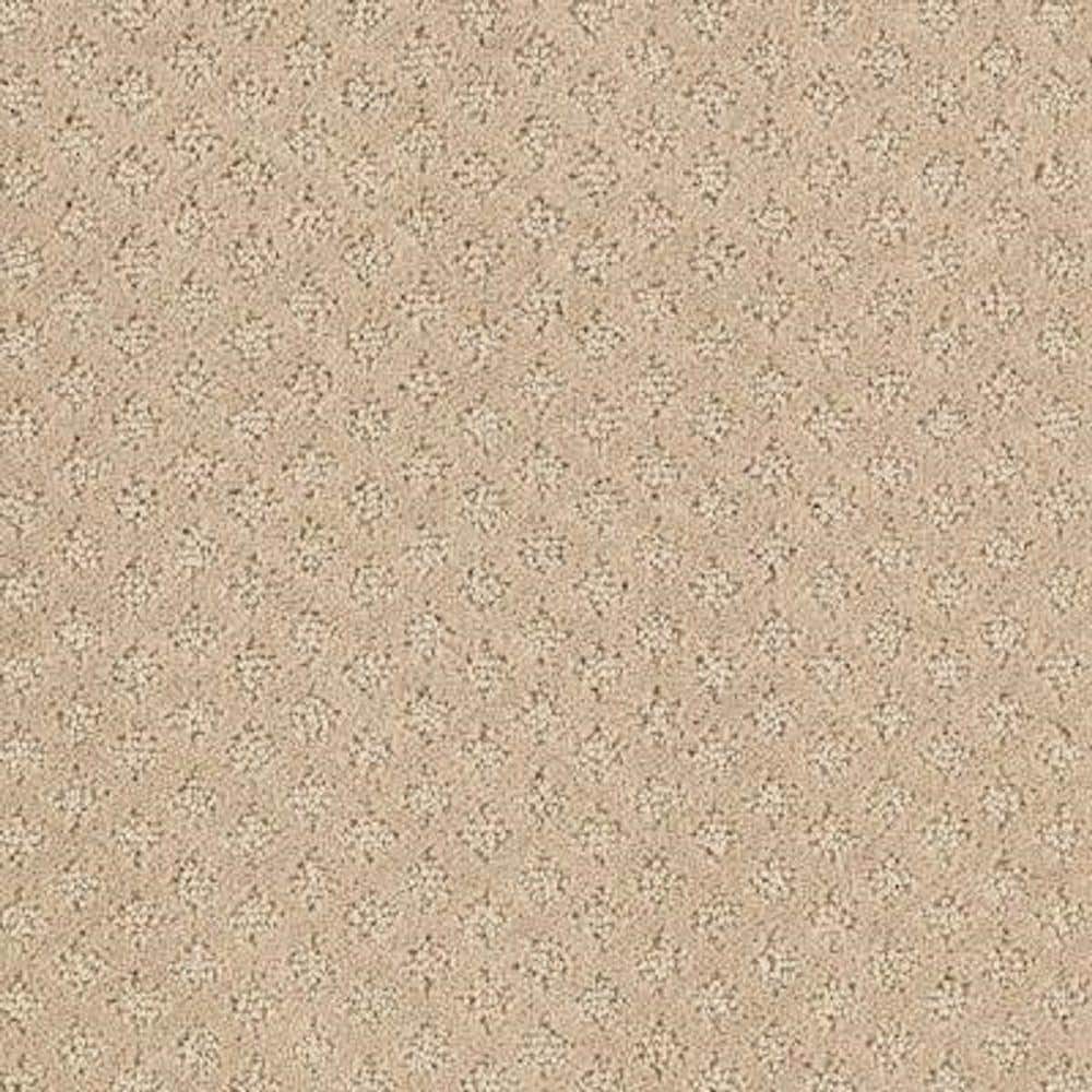 8 in. x 8 in. Pattern Carpet Sample - Lilypad -Color Beach Pebble price history on PriceWatchPro