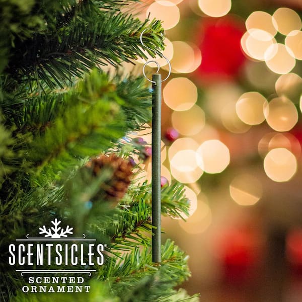 ScentSicles Scented Ornaments, 6ct Bottle, Spiced Pine Cones,  Fragrance-Infused Paper Sticks, 2 Pack SC106-SP0162-2 - The Home Depot