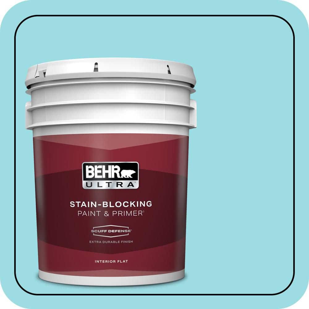 5 gal. #P470-2 Serene Thought Extra Durable Flat Interior Paint & Primer price history on PriceWatchPro