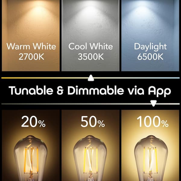 Geeni 60-Watt Equivalent E26 ST21 (ST64) Edison WiFi LED Smart Bulb, 2700K-6500K No Hub Required (2-Pack)